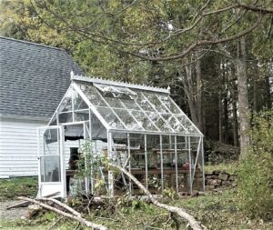 Greenhouse after Fiona. Still standing!