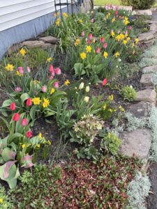 All the pretty springtime colours