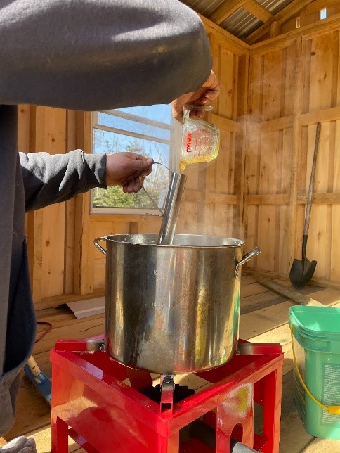 Magical Maples: The Science Behind Maple Syrup 34 Picture10