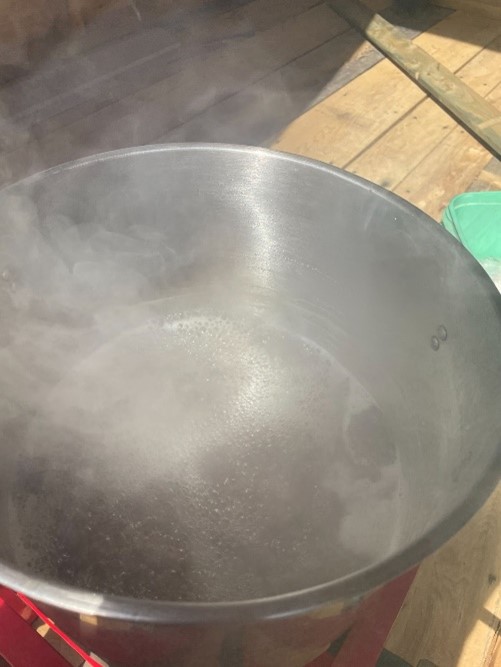 Magical Maples: The Science Behind Maple Syrup 32 Picture8
