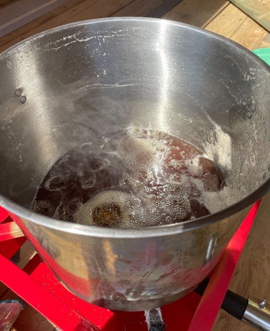 Magical Maples: The Science Behind Maple Syrup 33 Picture9