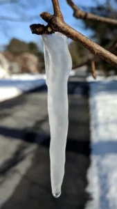 Magical Maples: The Science Behind Maple Syrup 30 img 20190219 141623 sapcicle 2