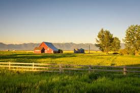 The Chorus of Spring: Peepers, Wood Frogs, and Garden Health 23 download 2