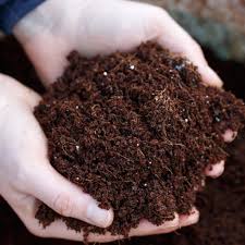 The Basics of Soil Blocking: A Game-Changer for Seed Starting 23 download