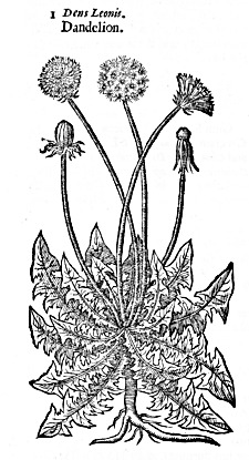 gerardv2ill 472