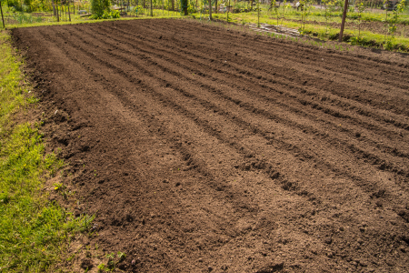 Getting Your New Garden Beds Ready: Step-by-Step for Success 30 Untitled design 29