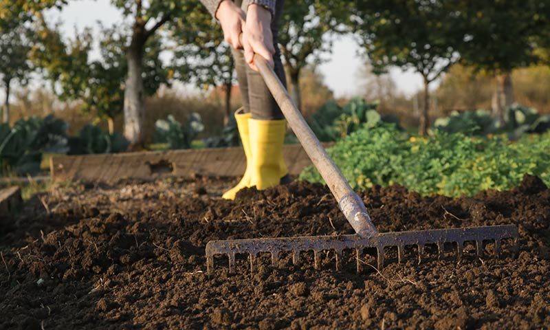 Getting Your New Garden Beds Ready: Step-by-Step for Success 12 soil preparation